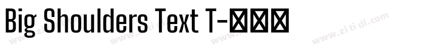 Big Shoulders Text T字体转换